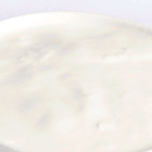 Plain  Yogurt 8Oz